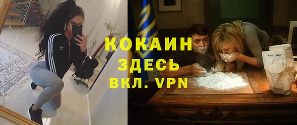 стаф Дмитровск
