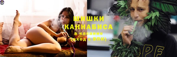 кокс Дмитриев