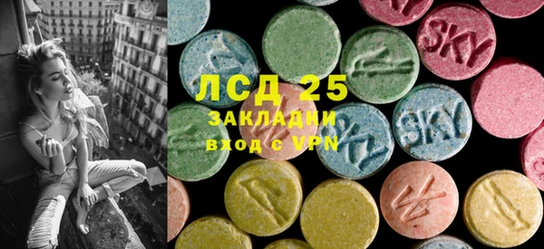 стаф Дмитровск