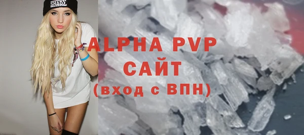 стаф Дмитровск