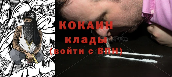 стаф Дмитровск