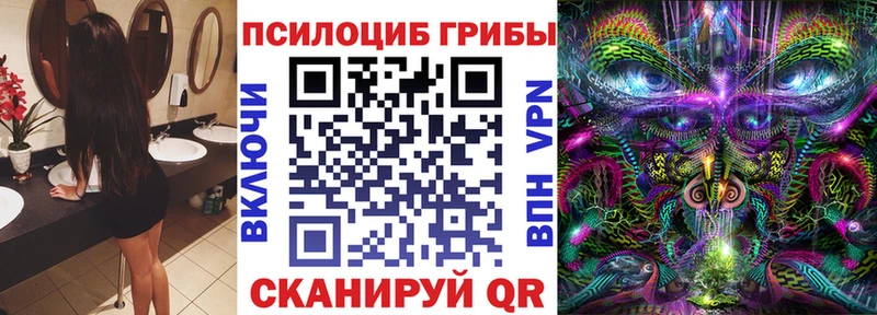 где продают   Пикалёво  Галлюциногенные грибы прущие грибы 